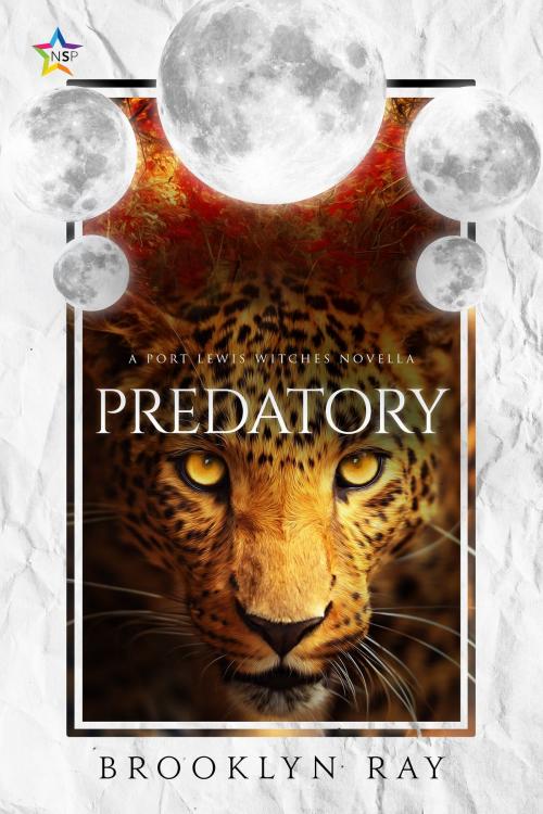 Cover of the book Predatory by Brooklyn Ray, Nine Star Press