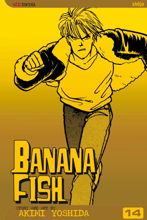 Cover of the book Banana Fish, Vol. 14 by Akimi Yoshida, VIZ Media