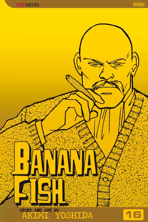 Cover of the book Banana Fish, Vol. 16 by Akimi Yoshida, VIZ Media