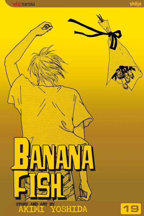 Cover of the book Banana Fish, Vol. 19 by Akimi Yoshida, VIZ Media
