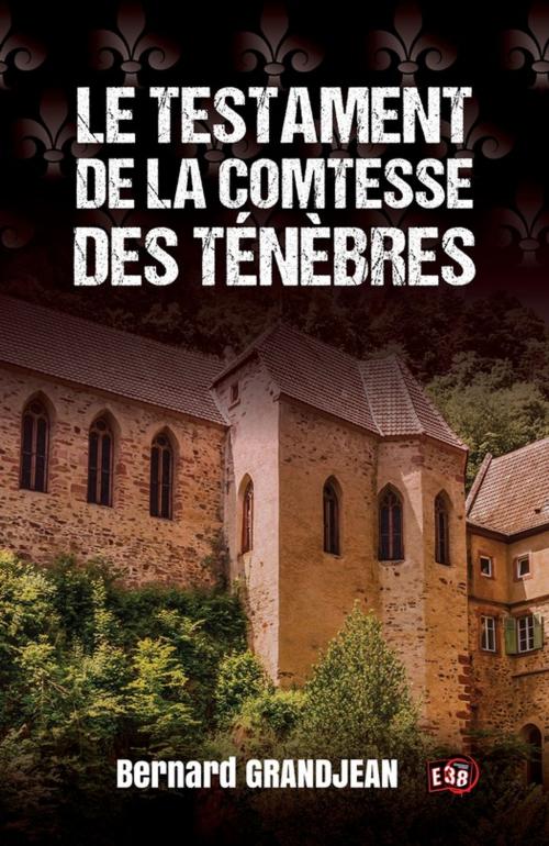 Cover of the book Le testament de la Comtesse des Ténèbres by Bernard Grandjean, Les éditions du 38