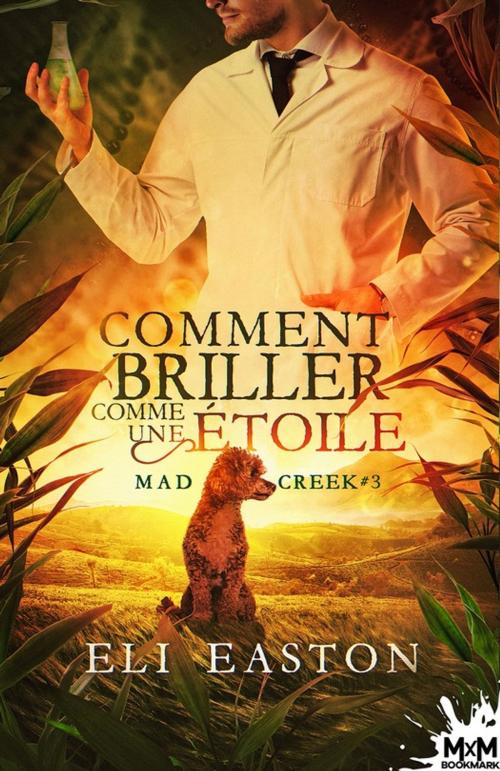 Cover of the book Comment briller comme une étoile by Eli Easton, MxM Bookmark