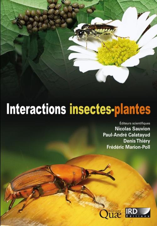 Cover of the book Interactions insectes-plantes by Collectif, IRD Éditions