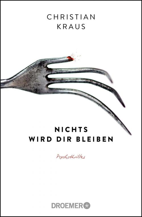 Cover of the book Nichts wird dir bleiben by Christian Kraus, Droemer eBook