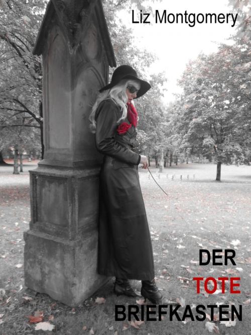 Cover of the book DER TOTE BRIEFKASTEN by Liz Montgomery, BookRix