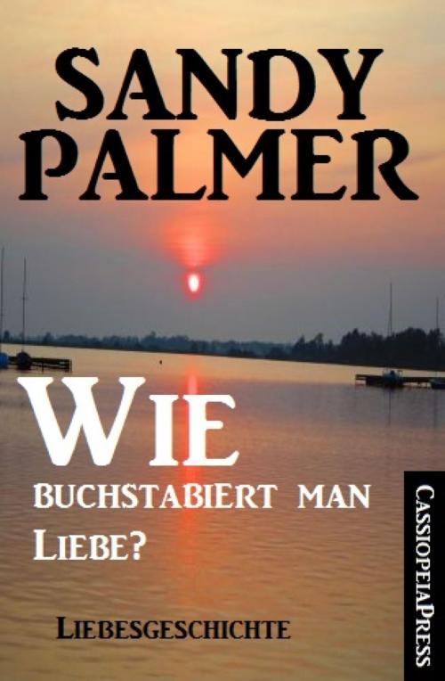 Cover of the book Wie buchstabiert man Liebe? by Sandy Palmer, BookRix