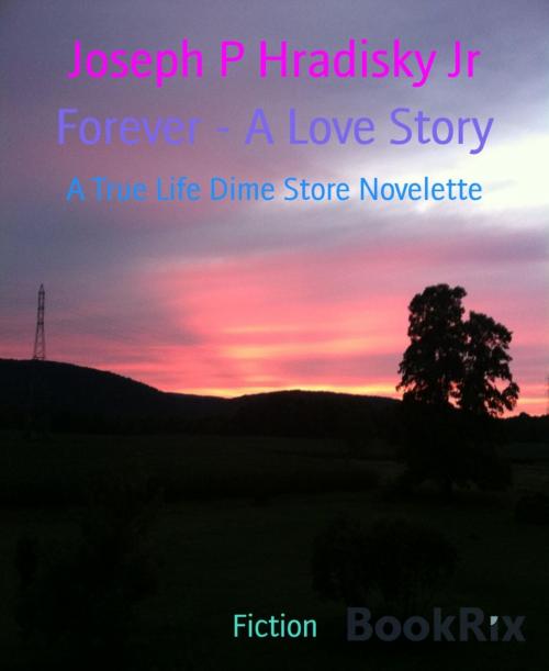 Cover of the book Forever - A Love Story by Joseph P Hradisky Jr, BookRix