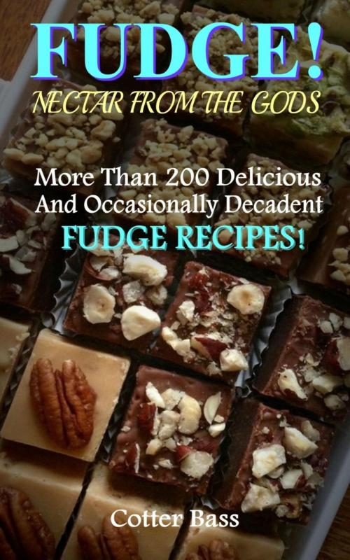 Cover of the book FUDGE! by Cotter Bass, BookRix