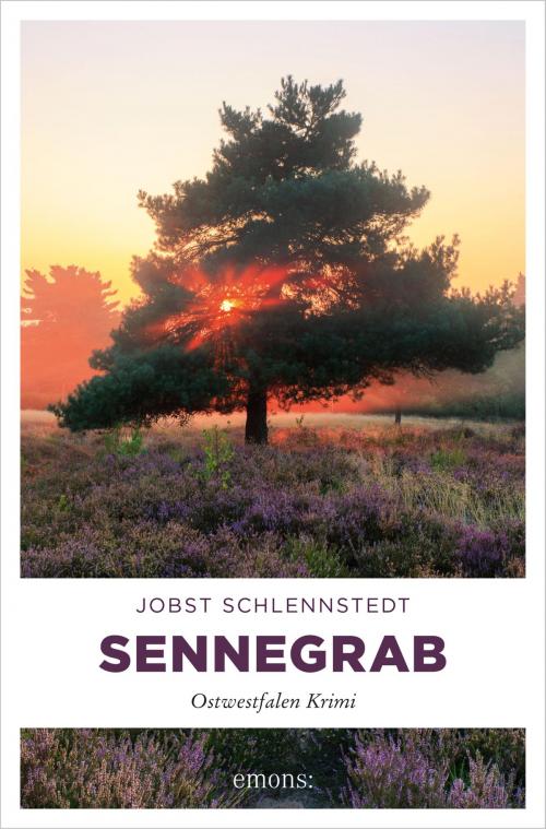 Cover of the book Sennegrab by Jobst Schlennstedt, Emons Verlag