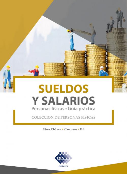 Cover of the book Sueldos y salarios. Personas físicas. Guía práctica 2019 by José Pérez Chávez, Raymundo Fol Olguín, Tax Editores
