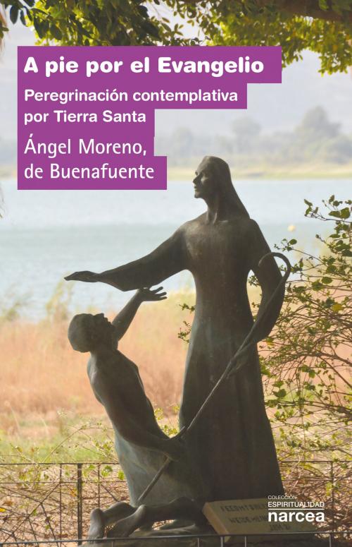Cover of the book A pie por el Evangelio by Ángel Moreno de Buenafuente, Narcea Ediciones