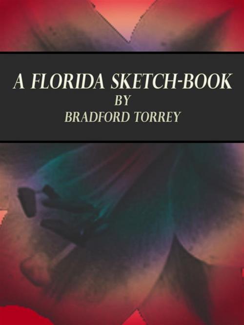 Cover of the book A Florida Sketch-Book by Bradford Torrey, Publisher s11838