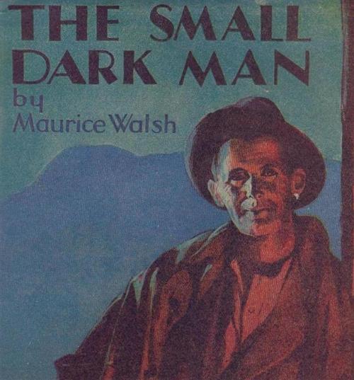 Cover of the book The Small Dark Man by Maurice Walsh, Reading Essentials