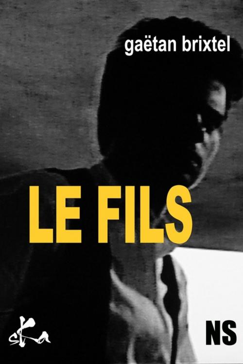 Cover of the book Le fils by Gaëtan Brixtel, SKA