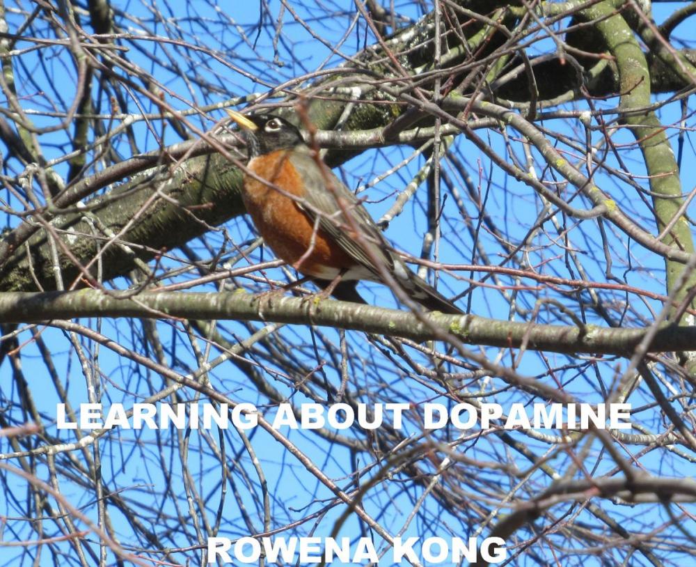 Big bigCover of Learning About Dopamine