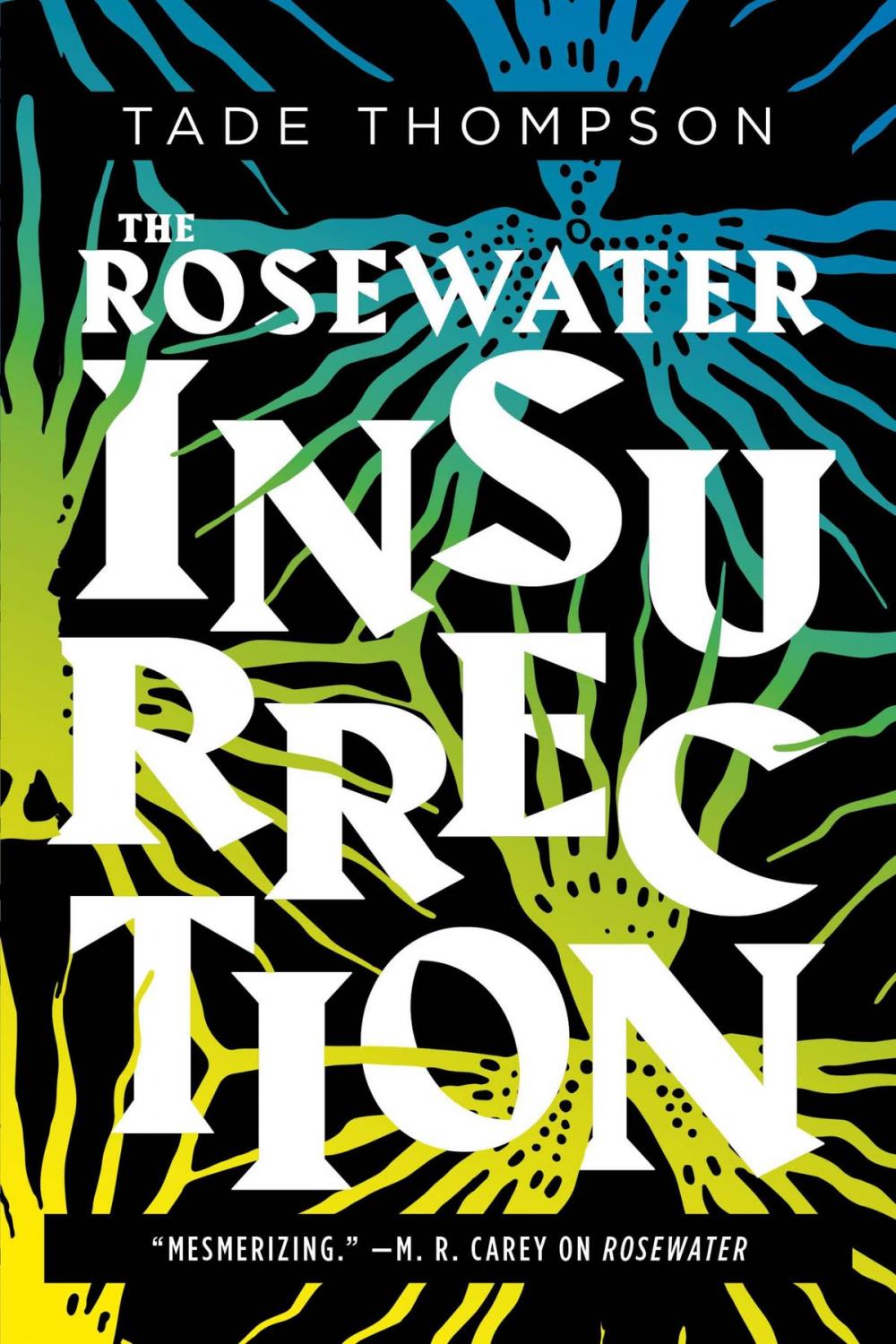 Big bigCover of The Rosewater Insurrection