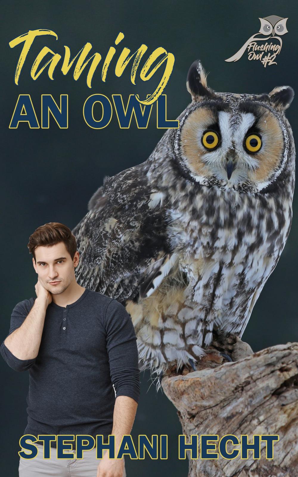 Big bigCover of Taming an Owl (Flushing Owls #2)