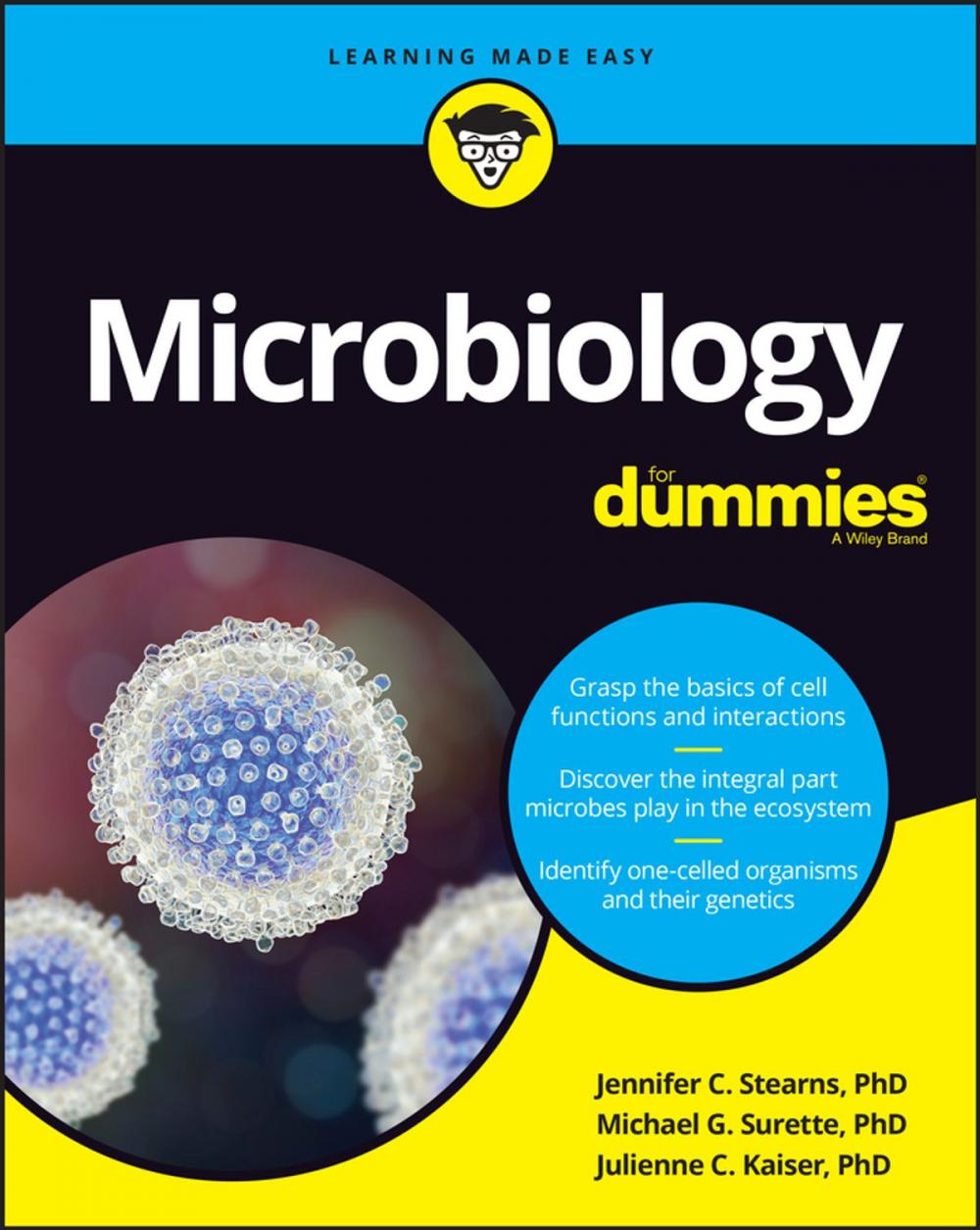 Big bigCover of Microbiology For Dummies