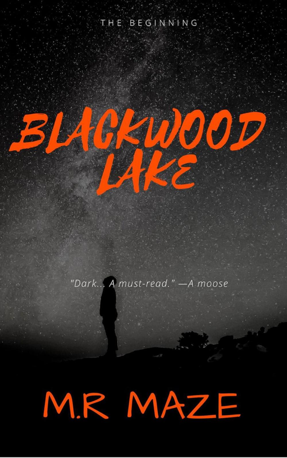 Big bigCover of Blackwood Lake