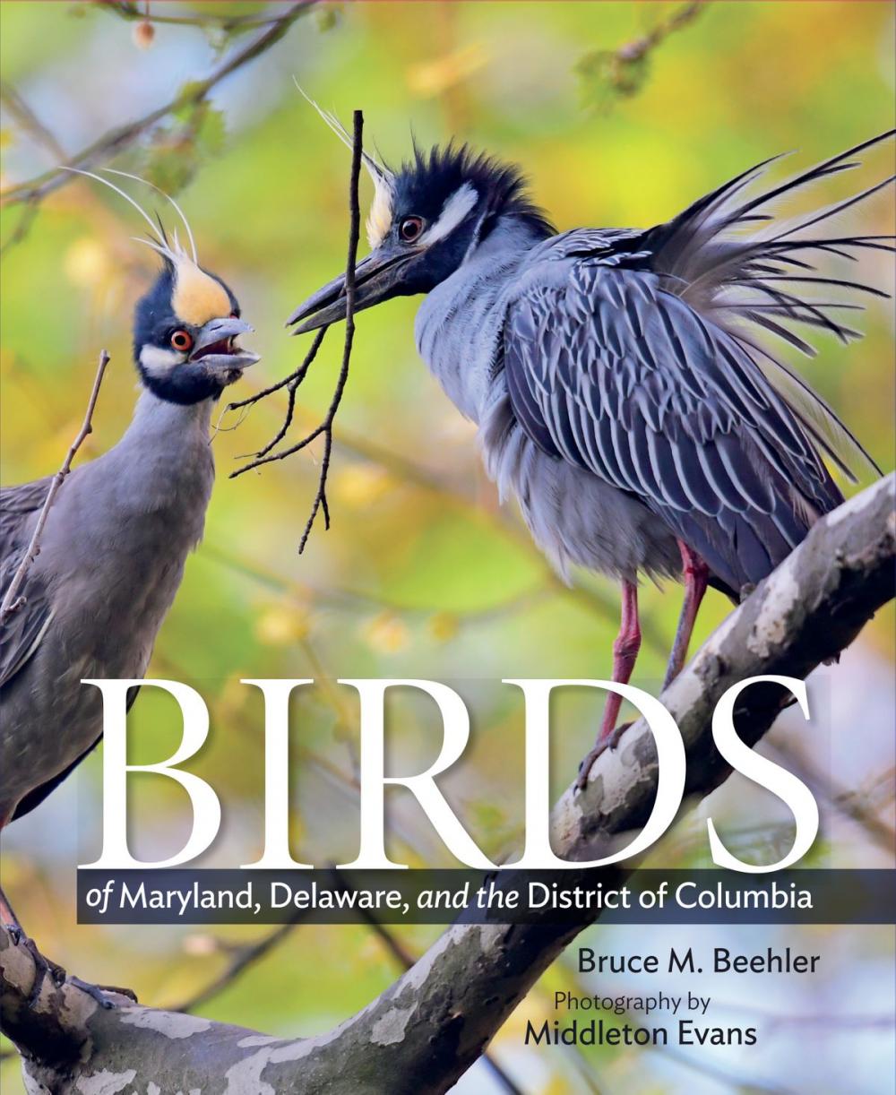 Big bigCover of Birds of Maryland, Delaware, and the District of Columbia