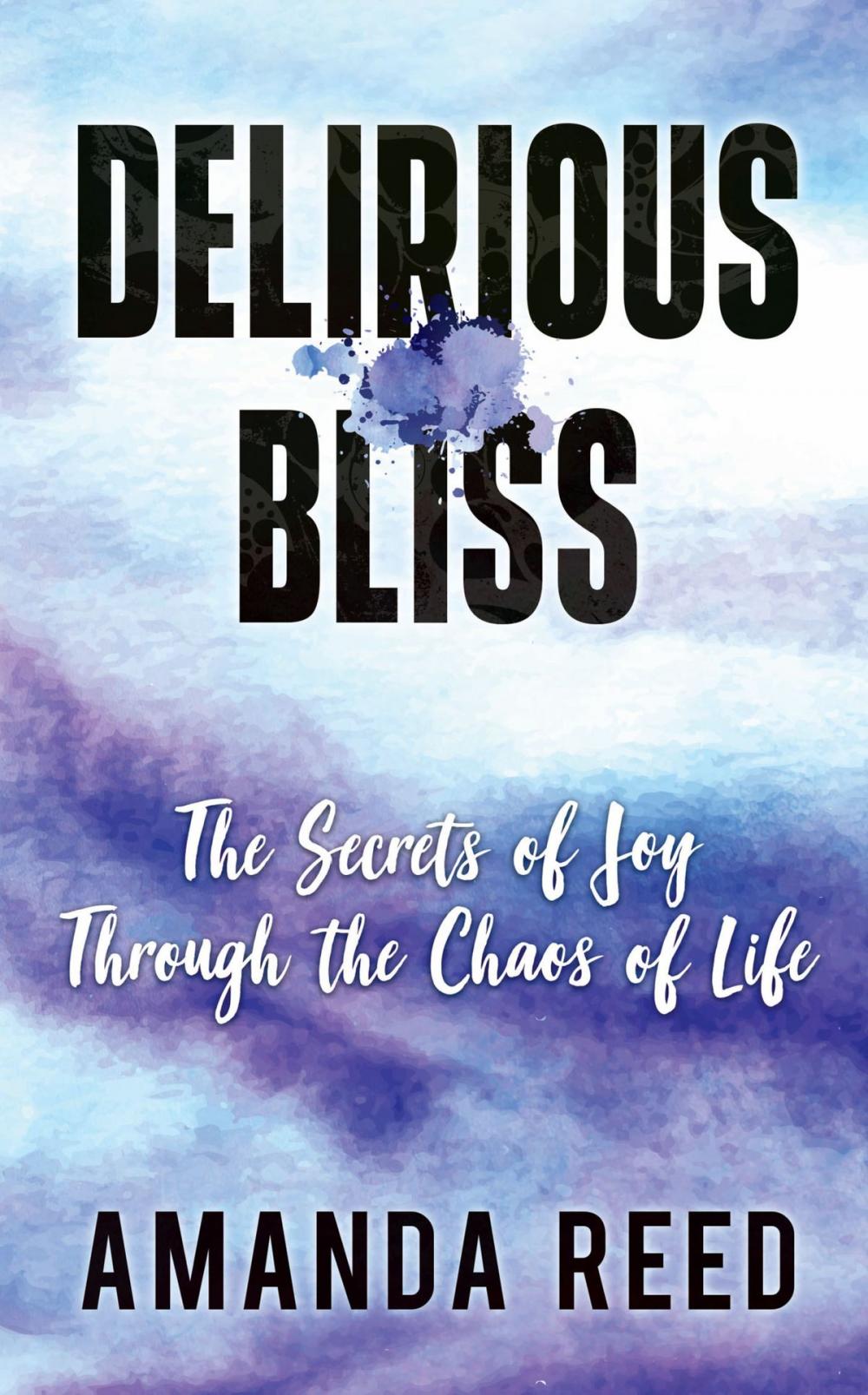 Big bigCover of Delirious Bliss: The Secrets of Joy Through the Chaos of Life