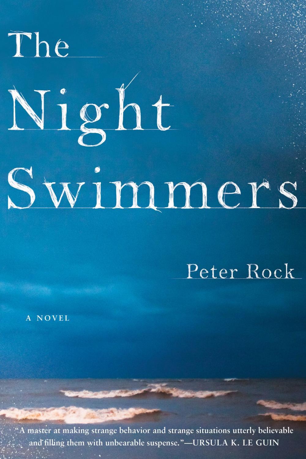 Big bigCover of The Night Swimmers