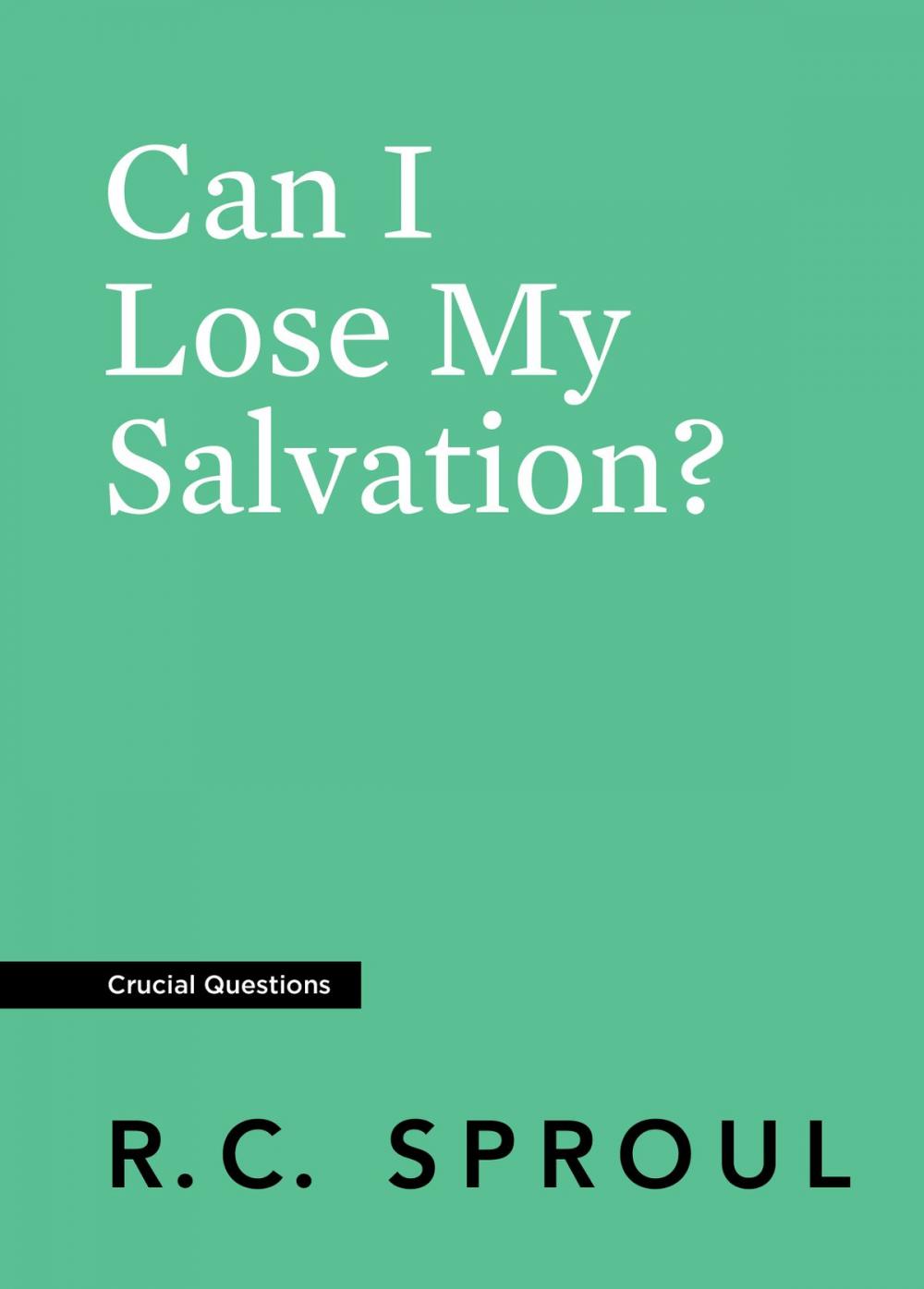 Big bigCover of Can I Lose My Salvation?