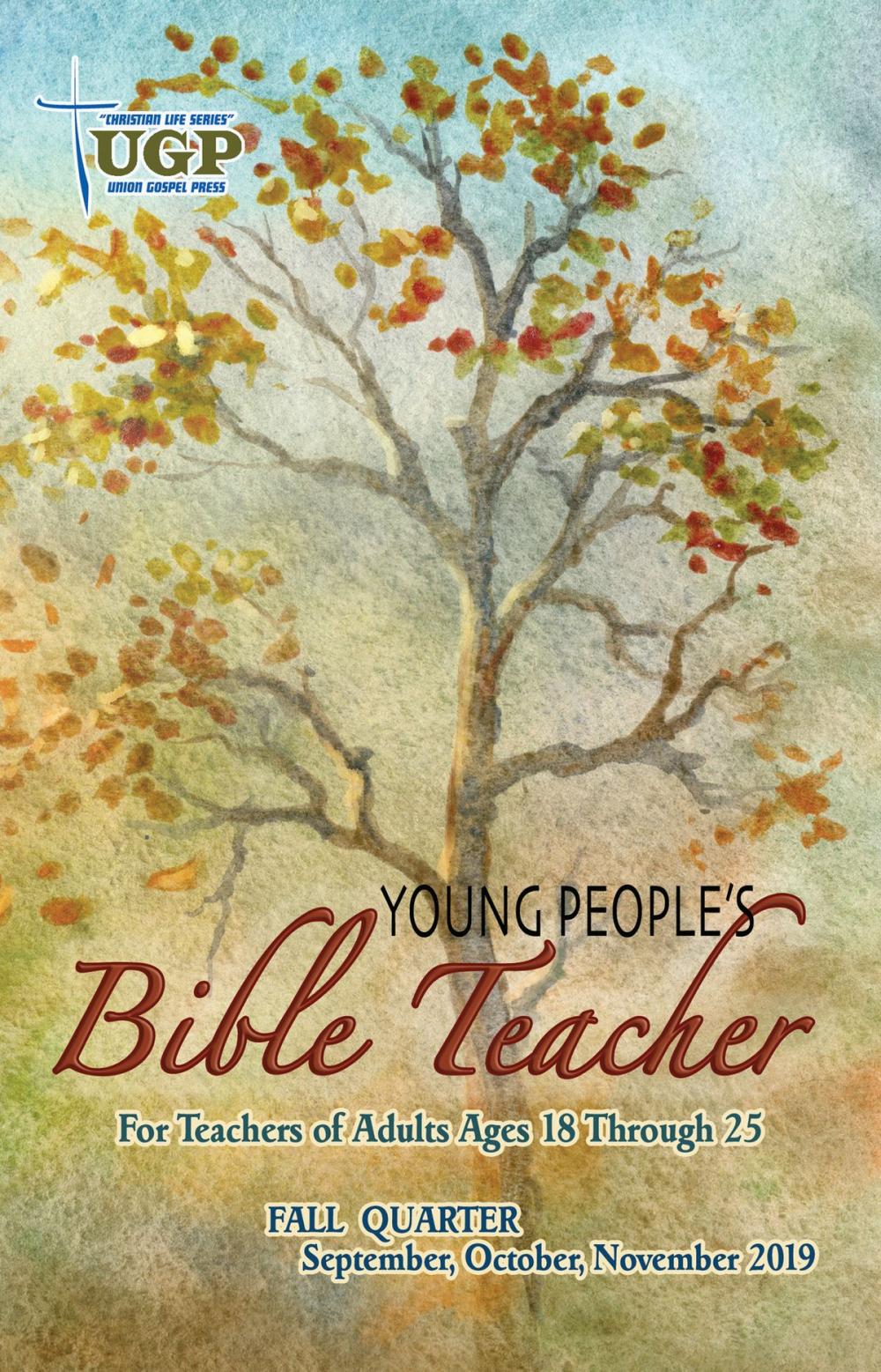 Big bigCover of Young People’s Bible Teacher