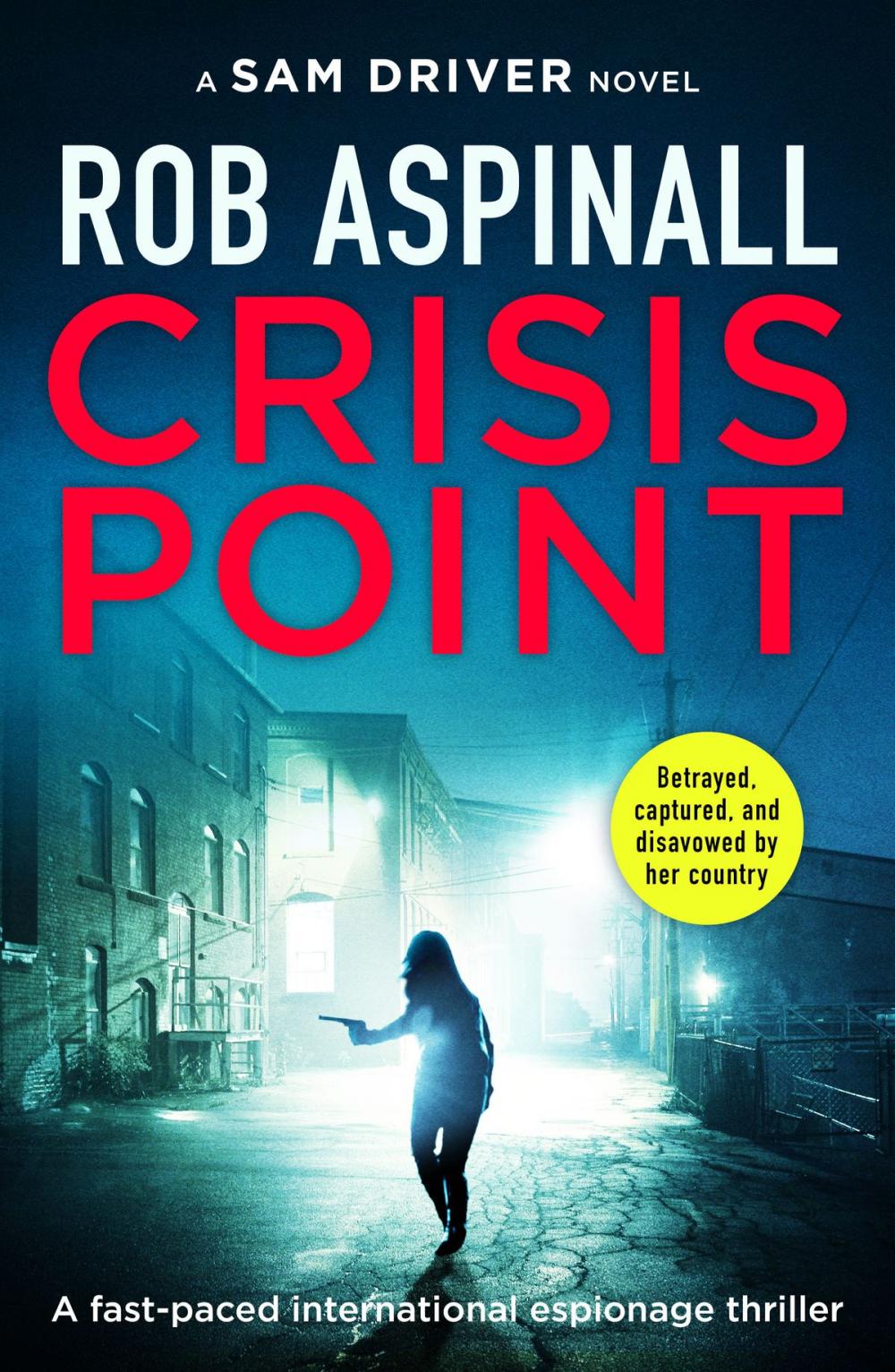 Big bigCover of Crisis Point