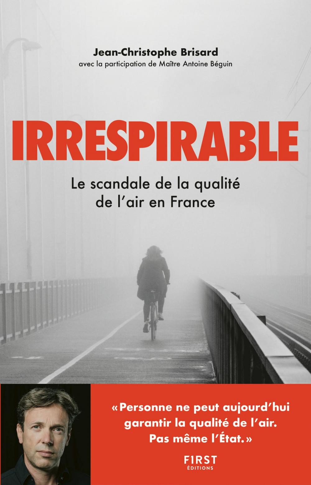 Big bigCover of Irrespirable - Le scandale de la qualité de l'air en France