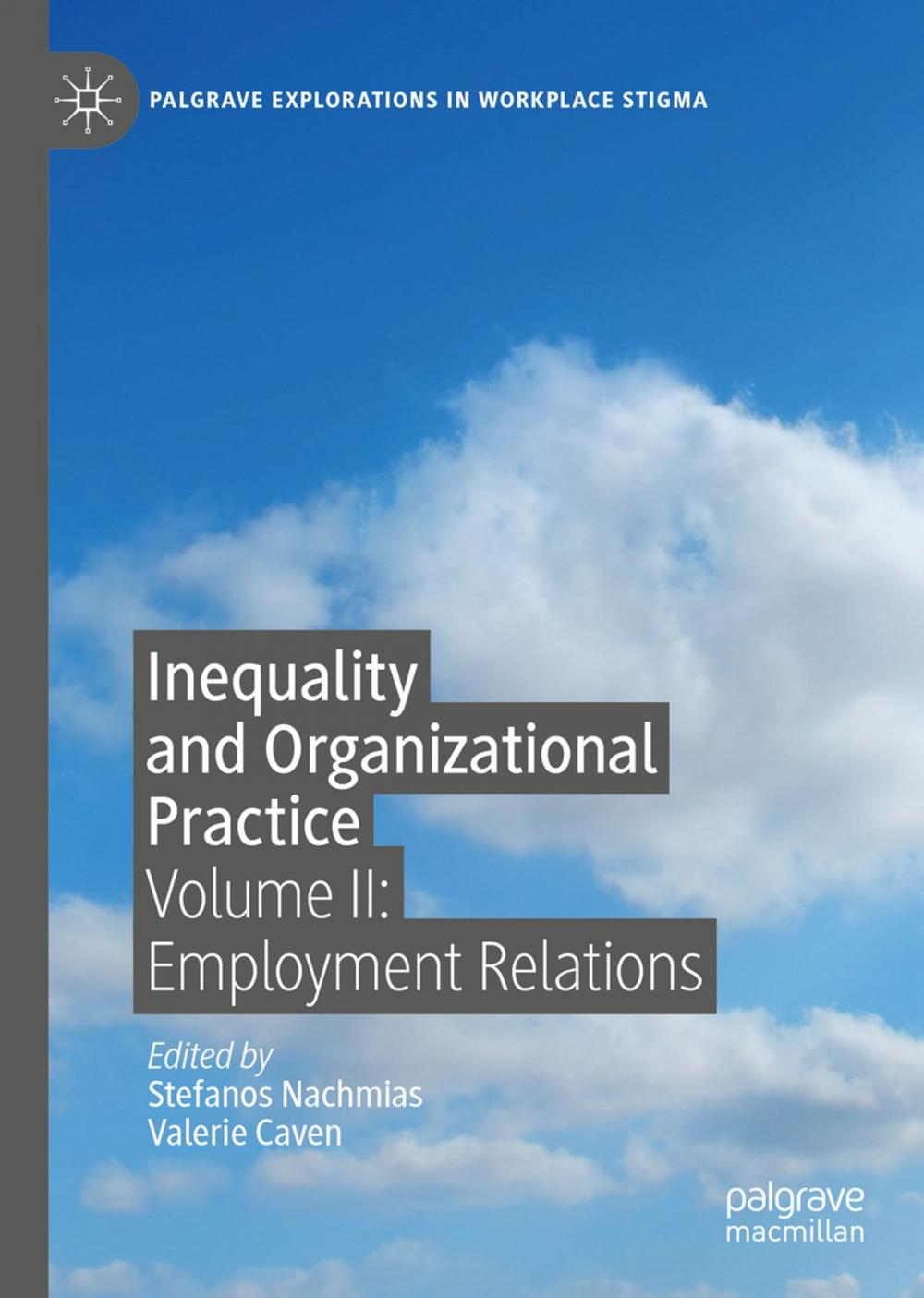 Big bigCover of Inequality and Organizational Practice