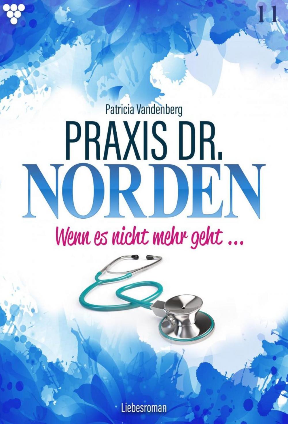 Big bigCover of Praxis Dr. Norden 11 – Arztroman