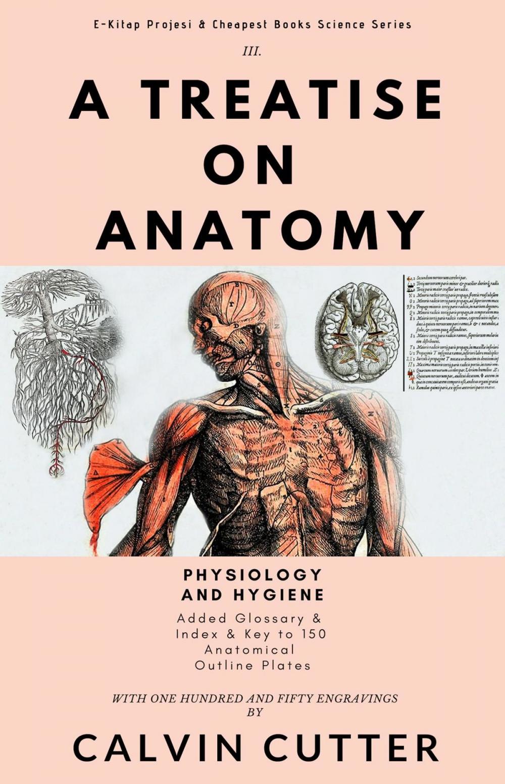 Big bigCover of A Treatise on Anatomy