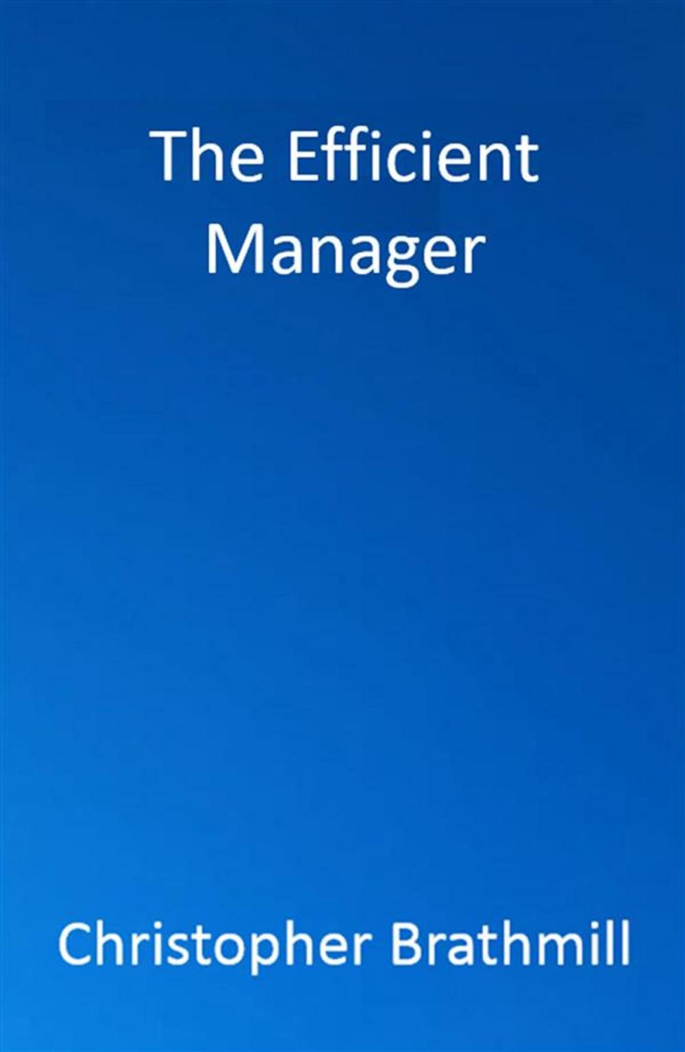 Big bigCover of The Efficient Manager