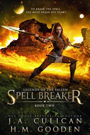 Cover of the book Spell Breaker by R.V. Johnson
