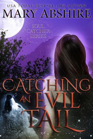Cover of the book Catching an Evil Tail by S.J. Wright