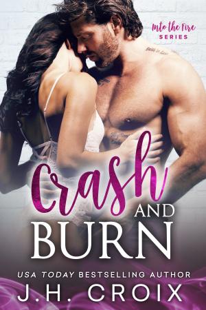 Cover of the book Crash & Burn by Erika Rhys