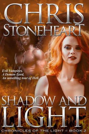 Cover of the book Shadow and Light by Velvet Gray