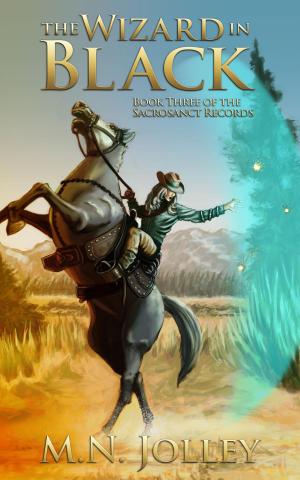 Cover of the book The Wizard in Black by Lana Venti