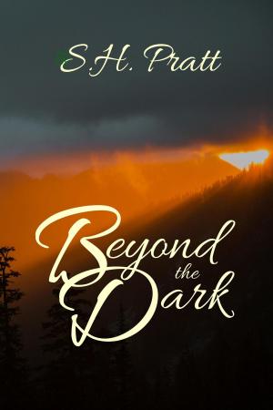 Cover of the book Beyond the Dark by Joellen Lee