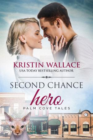 Cover of the book Second Chance Hero by Janice J. Richardson