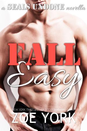 Cover of the book Fall Easy by Bree M. Lewandowski
