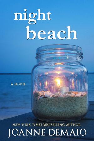 Book cover of Night Beach