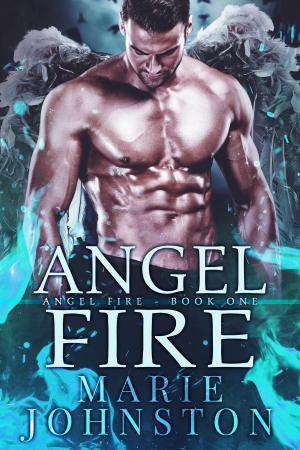 Cover of the book Angel Fire by Marie Johnston