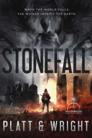Cover of the book Stonefall (An Invasion Universe Novel) by Kim Lutz, Megan Hart, MS, RD