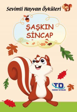 Book cover of Şaşkın Sincap