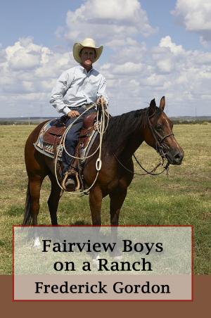 Book cover of Fairview Boys on a Ranch (Illustrated)