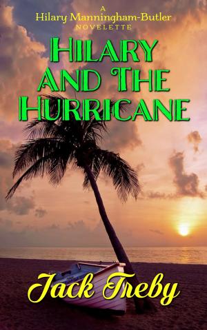 bigCover of the book Hilary And The Hurricane (a novelette) by 