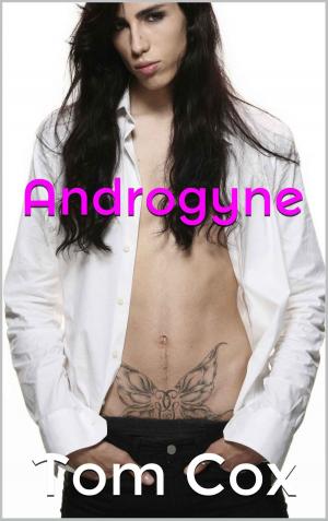 Cover of the book Androgyne by Maira Bakenova