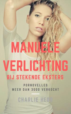 Cover of the book Manuele Verlichting bij Stekende Eksters by Tracy Potter